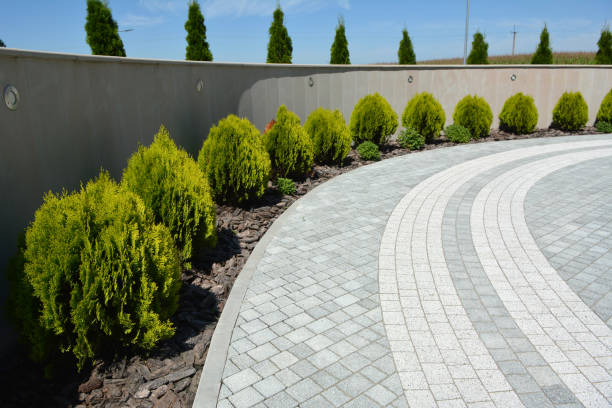 Best Driveway Repair Near Me  in Galena Park, TX